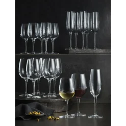 Sale Luigi Bormioli Aero Champagneglas 6 stk. Klar