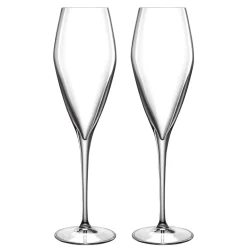 Best Luigi Bormioli Atelier Champagneglas Prosecco 2 stk. Klar