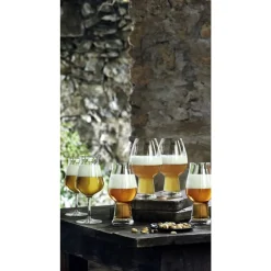 Luigi Bormioli Birrateque Ølglas ipa/ale 2 stk. Klar