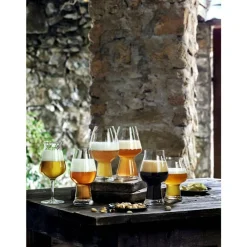 Sale Luigi Bormioli Birrateque Ølglas tester 2 stk. Klar