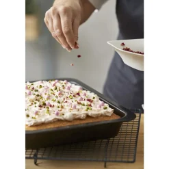 Sale Blomsterbergs Bradepande Black Steel