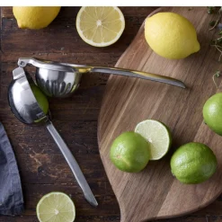 Clearance HOLM Citruspresser Blankt stål