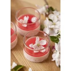 Blomsterbergs Dessertglas 4 stk. Transparent