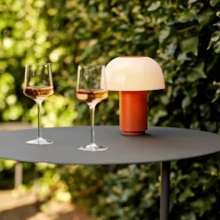 Online Zone Denmark Disc Bord Black