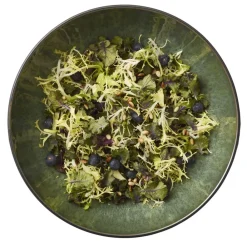 BITZ Gastro Salatskål Sort/Gr&oslash;n