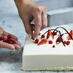 Discount Blomsterbergs Justerbar kageramme Stål