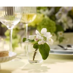 Clearance Lyngby Glas Palermo Gold Shotglas 6 stk. Klar