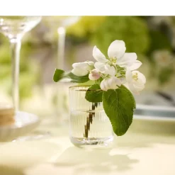 Clearance Lyngby Glas Palermo Gold Shotglas 6 stk. Klar