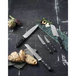 Sale Lion Sabatier International Pluton Knivsæt 5 dele Stål/Sort