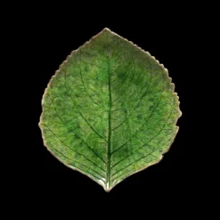 Sale Costa Nova Riviera Asiet hortensiablad Gr&oslash;n/Gr&oslash;n