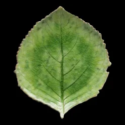 New Costa Nova Riviera Tallerken hortensia Grøn/Grøn