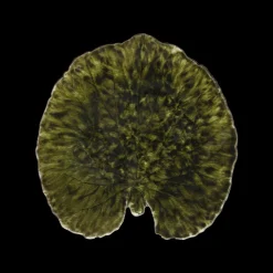 Costa Nova Riviera Tallerken åkandeblad Mørkegrøn