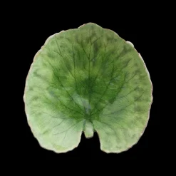 Outlet Costa Nova Riviera Tallerken åkandeblad Gr&oslash;n/Gr&oslash;n