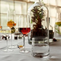 Discount Zone Denmark Rocks Champagneglas 2 stk. Klar