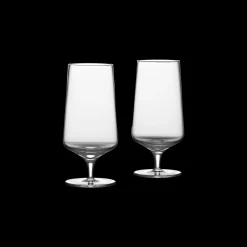 Hot Zone Denmark Rocks Ølglas 2 stk. Klar