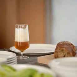 Hot Zone Denmark Rocks Ølglas 2 stk. Klar