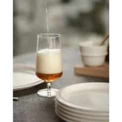 Hot Zone Denmark Rocks Ølglas 2 stk. Klar