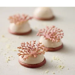 Discount Blomsterbergs Træ Tuileform Latte